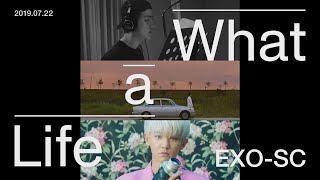 EXOSC 세훈amp찬열 quotWhat a lifequot Triple Title MV Trailer [upl. by Assenahs683]