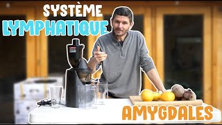 Un jus pour les amygdales et le système lymphatique [upl. by Uhsoj]