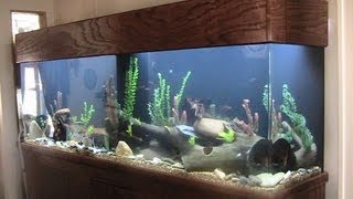 275 Gallon Acrylic Aquarium  Setup Cost and Review Plus Maintenance tips [upl. by Odlavu339]