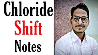 Chloride shift notes  MSc zoology 3rd semester  animal physiology by Irshad Ali [upl. by Murage]