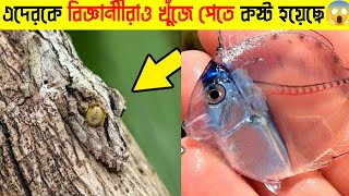 এদেরকে খুঁজে পেতে বিজ্ঞানীদের ঘুম হারাম হয়ে গেছেTop 10 Invisible AnimalsThe World [upl. by Cohlette]