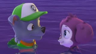 Paw Patrol Best Moments [upl. by Oneg]