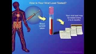 Viral Load and Monitoring [upl. by Lada]