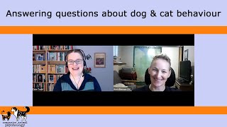 Answering questions about dog and cat behaviour Enrichment barking stress and cooperative care [upl. by Noiwtna]