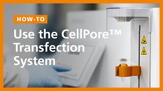 How To Use the CellPore™ Transfection System [upl. by Isawk]