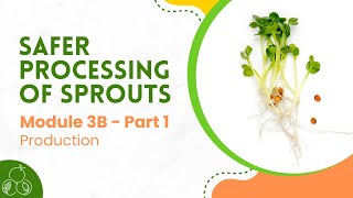 Sprouts Module 3B Sprout Production  Part 1 [upl. by Juliann]