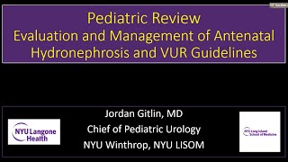 Antenatal Hydronephrosis VUR  EMPIRE Urology In Service Review [upl. by Sucirdor317]