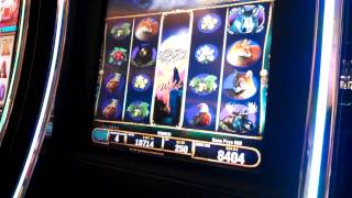 Run With The Pack Slot Machine Bonus Round [upl. by Ednew]