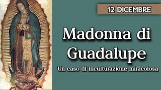 Bellezza e mistero della Madonna di Guadalupe [upl. by Aihselef]