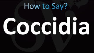 How to Pronounce Coccidia correctly [upl. by Nashner]