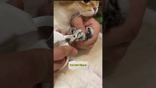 Pet Nail Clipper Link is on bio cat petkit petsuppliesplus [upl. by Nacnud455]