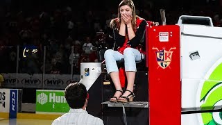 Zamboni Driver Proposes at Center Ice [upl. by Arytahs]