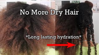 NO MORE DRY HAIR how to keep your natural hair MOISTURIZED longer quick and easy steps [upl. by Cordi455]