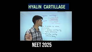 Hyalin cartillage in one minute [upl. by Standush]