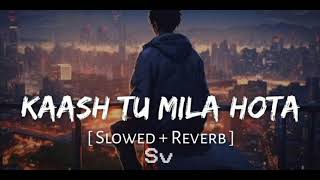 Kaash Tu Mila Hota Slowed  reverb song  best song of 2024 [upl. by Ahsil]