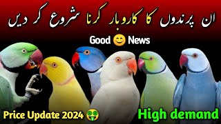 Raw amp ringneck parrot price in Pakistan 2024 Latest price of Raw parrot and type of ringneck parrot [upl. by Clements815]