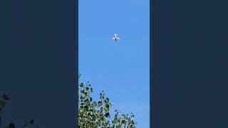 Stunt plane nose dive [upl. by Trebmal257]