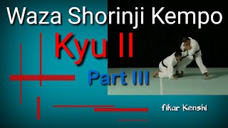 Shorinji Kempo Waza Technique  Kyu II Part 34 [upl. by Zumwalt945]