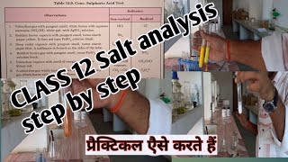 Class 12 Salt analysis  Class 12 qualitative analysis Class 12 practical [upl. by Eenat]