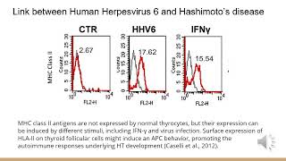 Hashimoto’s Disease Immunology [upl. by Aribold]