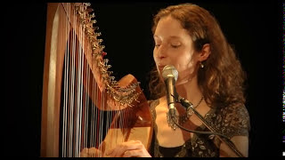 Celtic Harp Song with String Quartett quotShinequot keltische Harfe [upl. by Verbenia300]