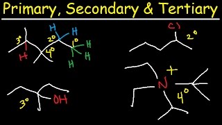 Primary Secondary Tertiary amp Quarternary Hydrogen and Carbon Atoms [upl. by Nels]