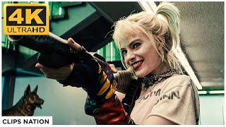 Birds of Prey  Harley Quinn vs Cops amp Prisoners  Police Station Fight Scene  4K Ultra HD [upl. by Ardnaz]