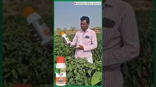 Cuflow fungicide fungicides sumitomo india [upl. by Blinny]