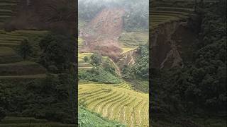 Landslide flood in village dumray travel flood landslidevillage shorts dumray [upl. by Adner]