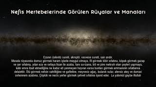 Nefis Mertebelerinde görülen Rüyalar ve Manaları [upl. by Eelirol]