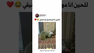 متنساش دير جادور ♥️ ابوني باش يوصلك الجديد⚡jadore1 بارتاجي عندك فالستوري😍✅ [upl. by Jehanna]