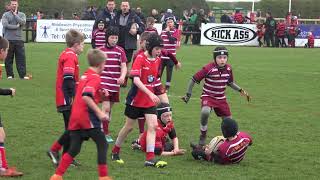 Cheshire U10s Rugby Festival Wirral v Chester Lions  7th April 2019 [upl. by Attekahs]