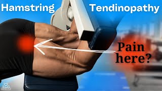 Proximal Hamstring Tendon Rehab Progression Exercises for Buttock Pain [upl. by Serilda]