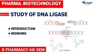 Study of DNA Ligase  Unit2 Pharmaceutical Biotechnology [upl. by Adnohsed]