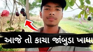 આજે તો ડાયરો જમાયો😯😯gujarativlogsgujrati comedyvideoviralvideos [upl. by Worl]