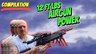 Do UK Sub 12 FT Lb Airguns Hit Hard Fun Compilation [upl. by Skees831]