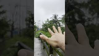 DESCUBRE un cementerio ESCONDIDO en la SELVA de Colombia [upl. by Eenolem]