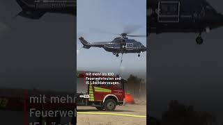 WALDBRAND bei Jüterbog Feuer breitet sich aus 🚒 [upl. by Chev]