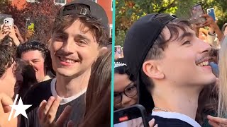 Timothée Chalamet What Were You Thinking  MTV News [upl. by Kursh]