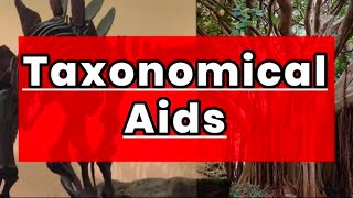 Taxonomical Aids  The living world  class 11 biology [upl. by Cyrie246]