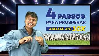 OS 4 PASSOS PARA PROSPERAR ATÉ 10X MAIS RÁPIDO [upl. by O'Neill]