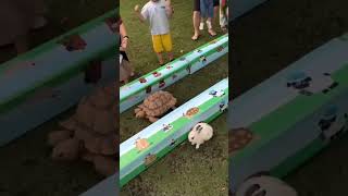 Rabbit and tortoise storyఎవరుగెలిచారుfunny practical storyreal shots [upl. by Boggs413]