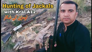 Jackals Hunting with Kral A12  jackal hunting with  22lr  jackal hunting in Pakistan  jackal [upl. by Paulsen]