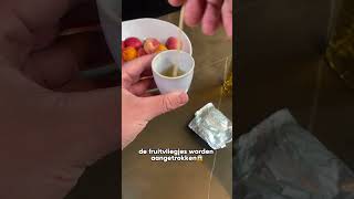 Nooit meer last van fruitvliegjes 😱 lifehacks handigetips [upl. by Doreg459]