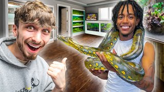 Epic Reptile Room Tour Jay and Melisa [upl. by Yllac]