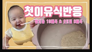 육아브이로그  초기이유식 첫이유식 반응 👼🏻 쌀미음 10배죽 amp 오트밀 8배죽 이유식레시피 baby log 6개월아기 이유식만들기 유줌마 UJUMMA [upl. by Dobson]