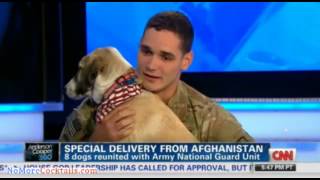 From Afghanistan with love Soldiers reunited with dogs they promised to not leave behind [upl. by Rochette]