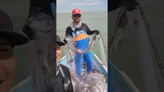 En la pesca de camarones pesca sea shrimp [upl. by Bausch]