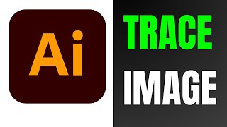 How to Trace Image in Illustrator CC 2024 [upl. by Amari]