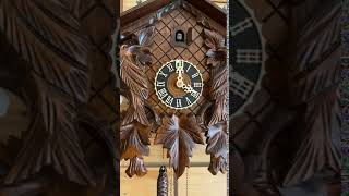 1 day traditional carvings cuckoo clock from Hones httpswwwcuckoohauscom [upl. by Cerell]